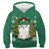 Kids 3D Graphic Pullover Hoodie Hooded Sweatshirt for Boys